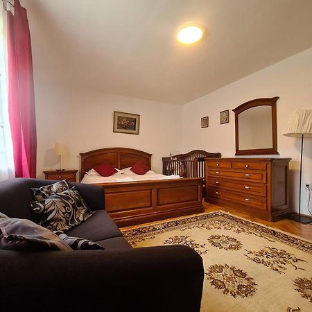 Lelia Residence Apartments Брашов Экстерьер фото
