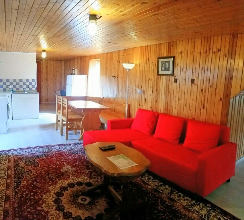 Lelia Residence Apartments Брашов Экстерьер фото