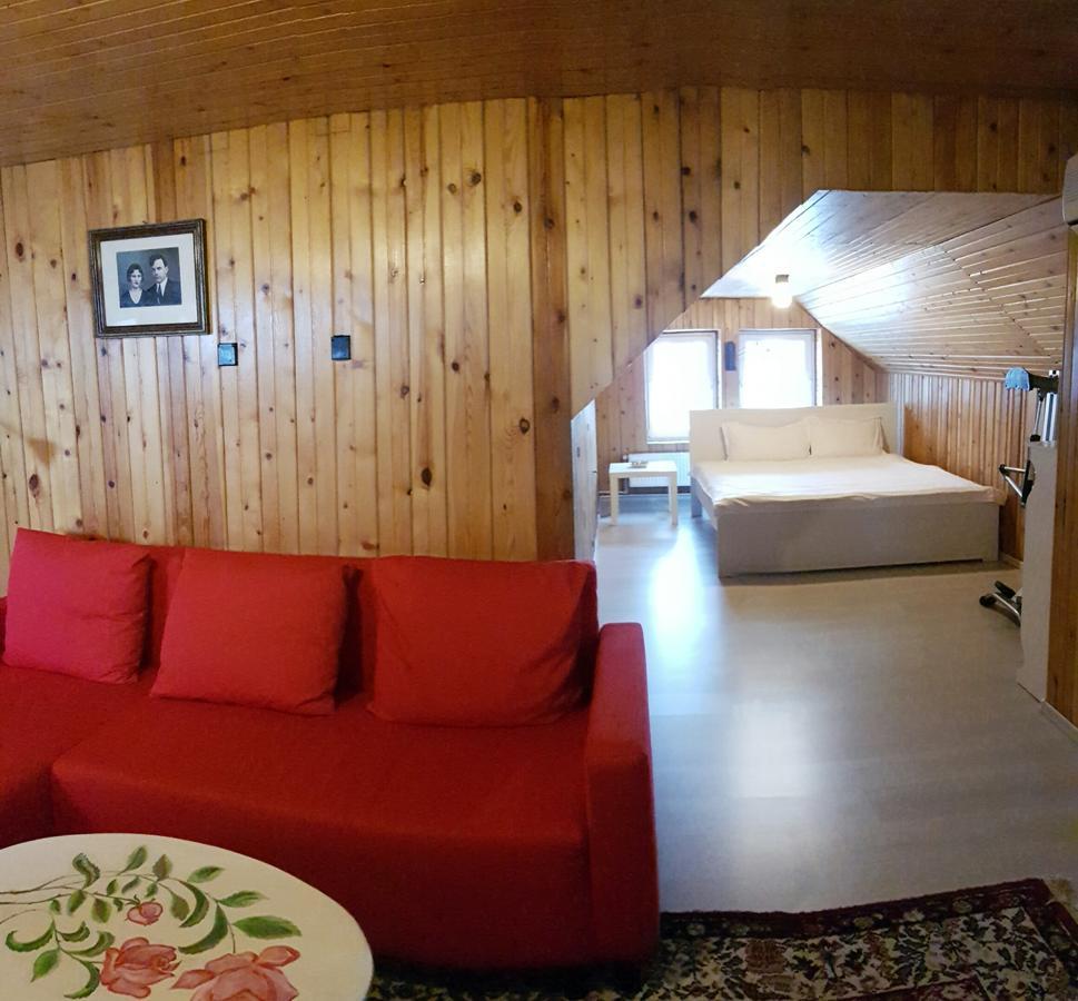 Lelia Residence Apartments Брашов Экстерьер фото